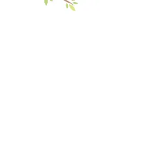 Question II.2