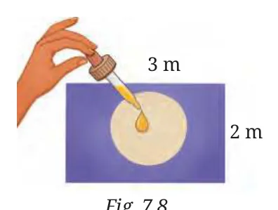 Question 8