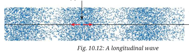 Fig 10.12