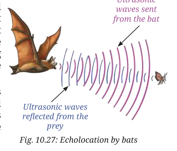 Fig 10.27