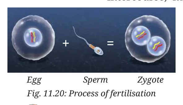 Fig 11.20
