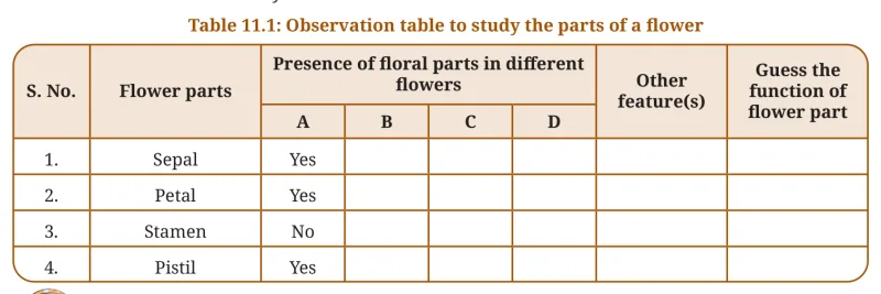 Table 11.1