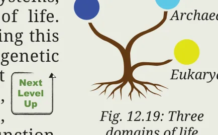Fig 12.19