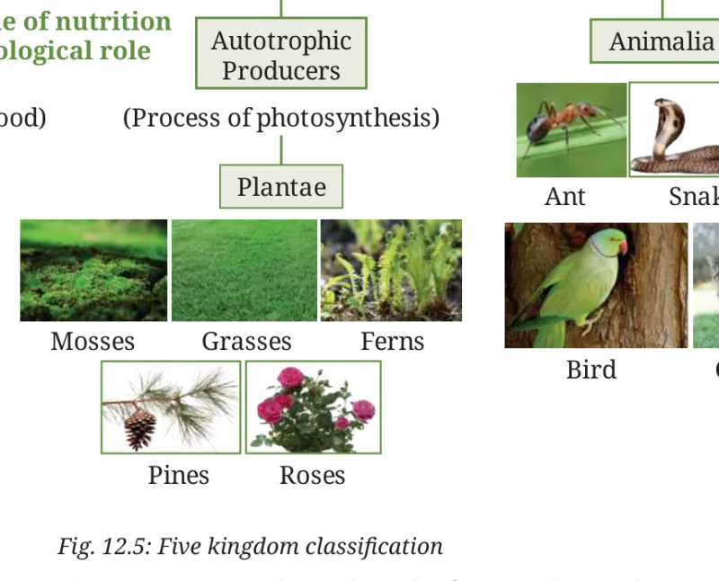Fig 12.5