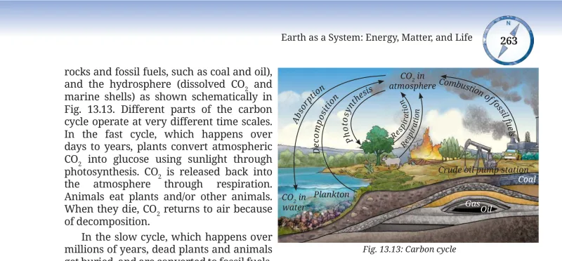 Fig 13.13