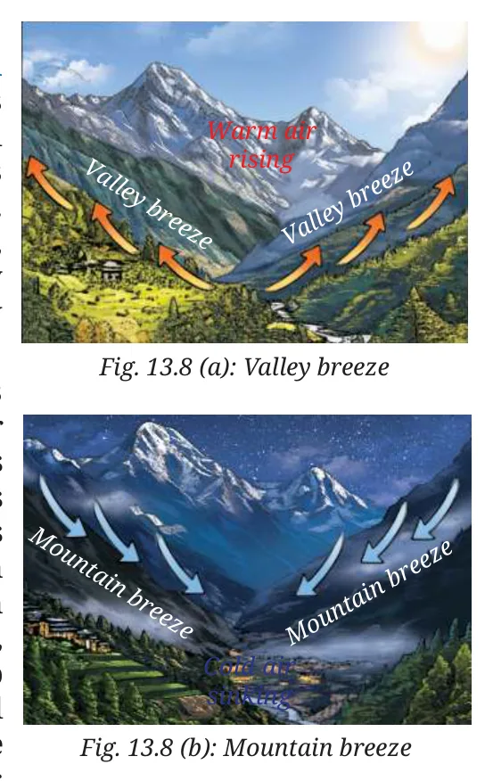 Fig 13.8