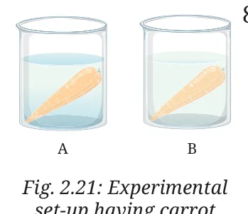 Fig 2.21