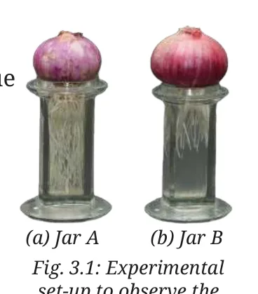 Fig 3.1