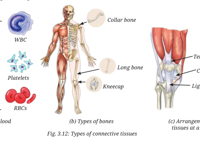 Fig 3.12