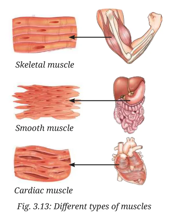 Fig 3.13