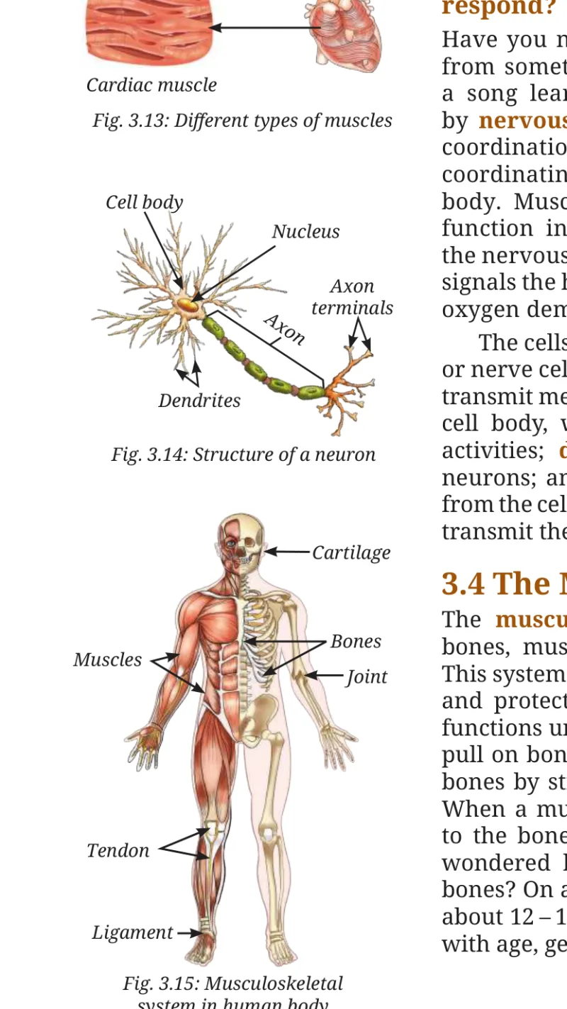 Fig 3.15
