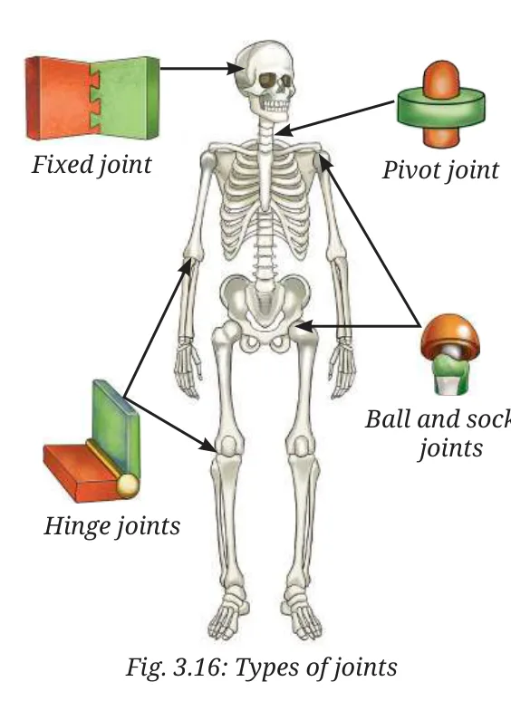 Fig 3.16