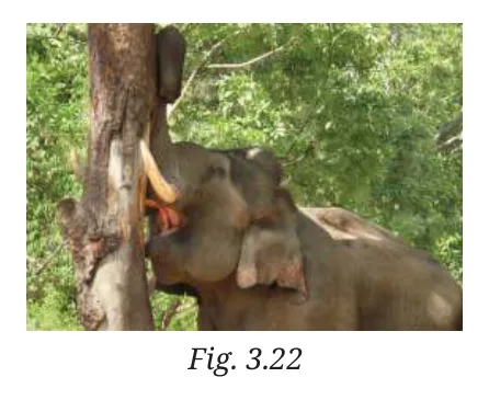 Fig 3.22