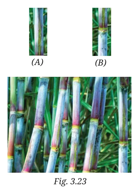 Fig 3.23