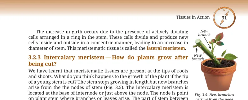 Fig 3.5