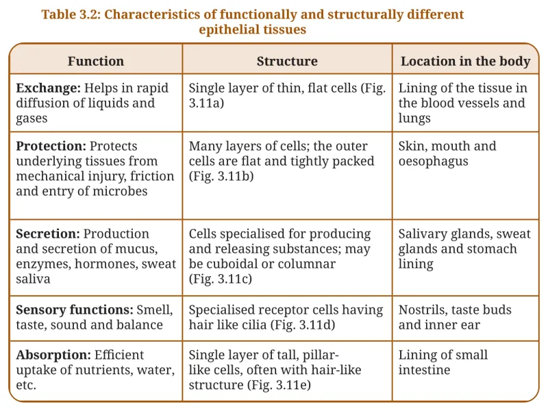 Table 3.2