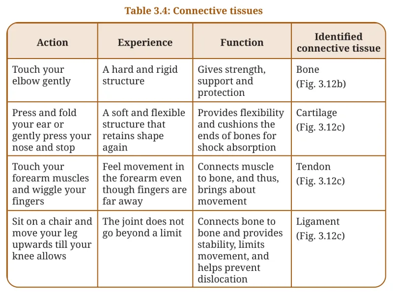 Table 3.4
