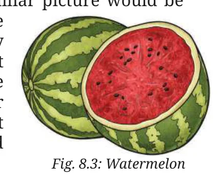 Fig 8.3